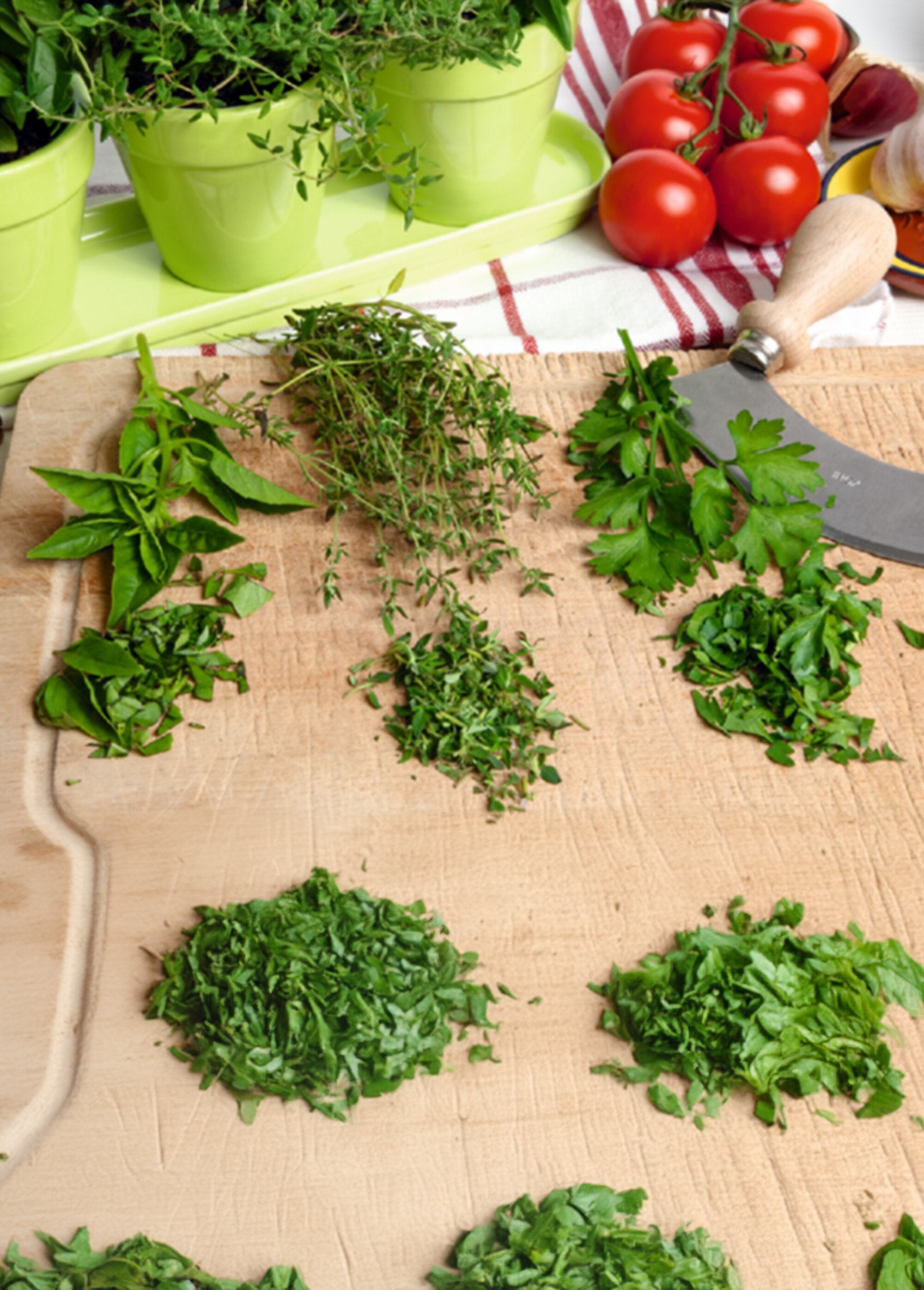 Set_of_3_pots_of_basil,_parsley_and_thyme_seedlings_Green_DE1_slim